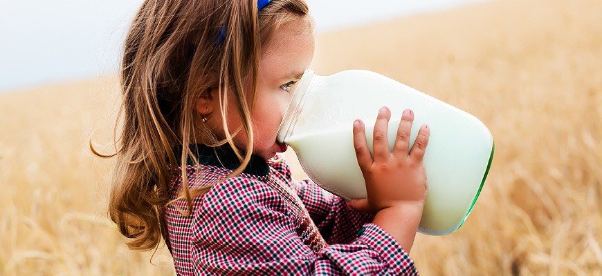Berufsunfähigkeits- versicherung