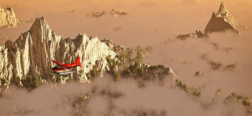 Berufsunfähigkeits- versicherung